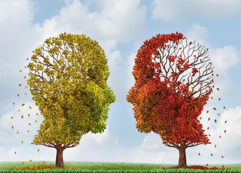 dementia and hearing loss symbolised by trees