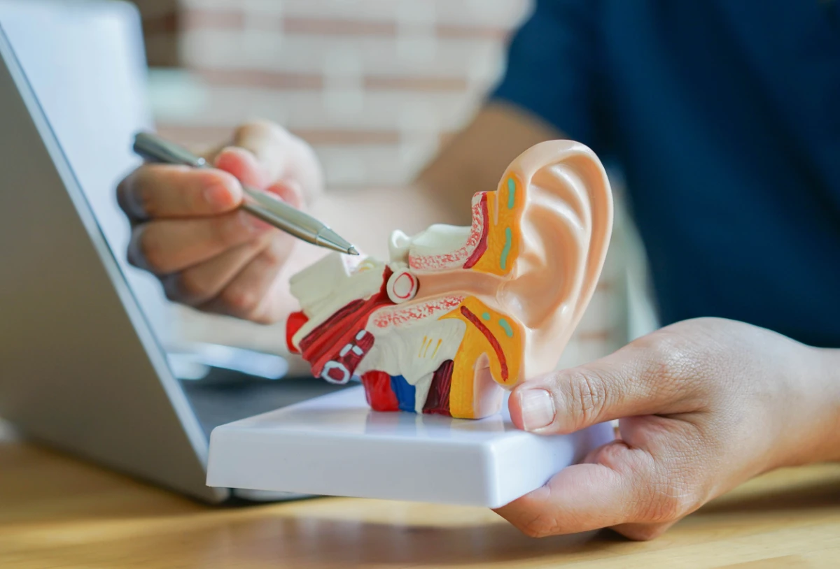 Alpha Hearing audiologist showing ear wax in ear model